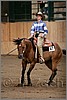 QH061_1365n.jpg(33,3 KB)
