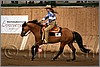 QH061_1369n.jpg(37,9 KB)