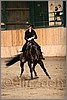 QH061_1377n.jpg(34,0 KB)
