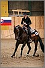 QH061_1378n.jpg(34,8 KB)