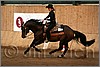 QH061_1383n.jpg(33,9 KB)