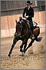 QH061_1384n.jpg(32,9 KB)