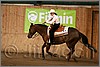 QH061_1397n.jpg(33,1 KB)