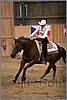 QH061_1398n.jpg(30,4 KB)