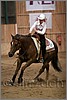QH061_1399n.jpg(30,7 KB)