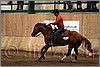 QH061_1420n.jpg(34,4 KB)