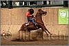 QH061_1422n.jpg(39,0 KB)