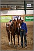 QH061_1426n.jpg(39,2 KB)
