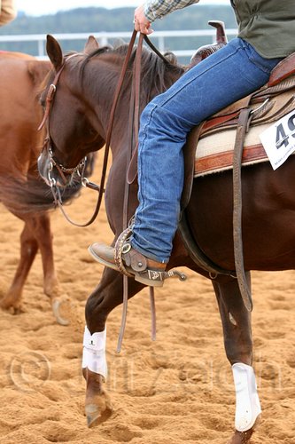 QH062_0939n.jpg