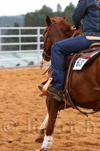 QH062_0941n.jpg