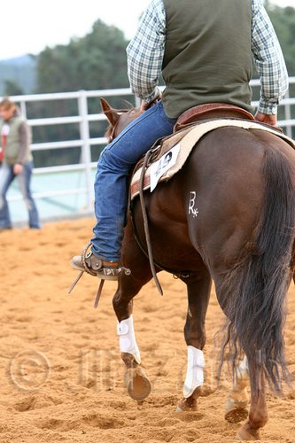 QH062_0942n.jpg
