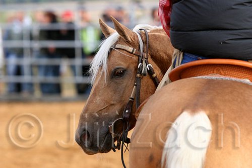 QH062_0968n.jpg