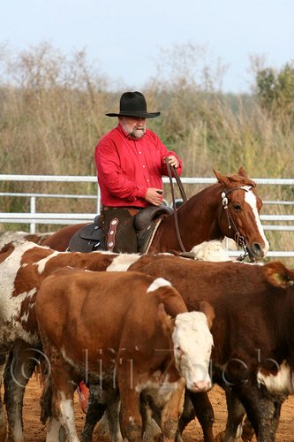 QH062_0969n.jpg