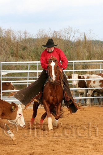 QH062_0970n.jpg