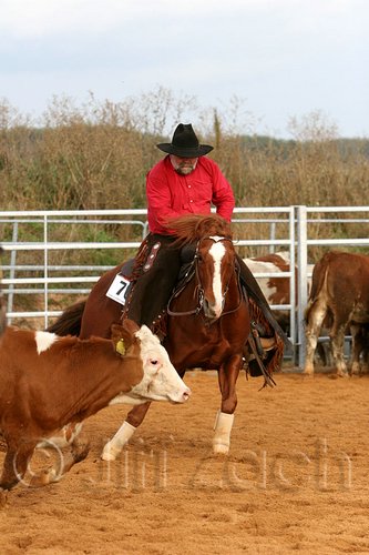 QH062_0971n.jpg