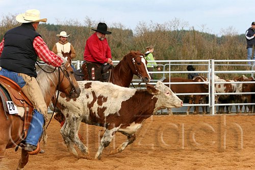 QH062_0972n.jpg