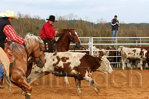 QH062_0973n.jpg