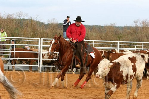 QH062_0975n.jpg