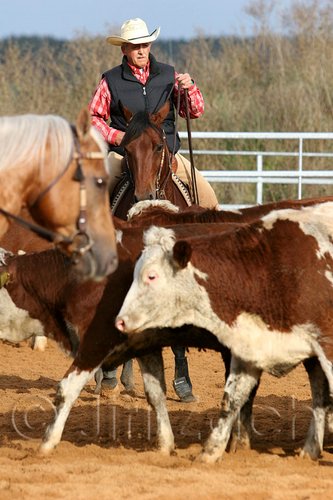 QH062_0982n.jpg