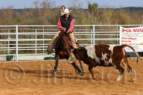 QH062_0987n.jpg