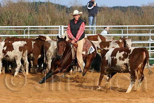 QH062_0988n.jpg