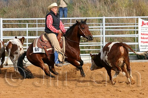 QH062_0993n.jpg