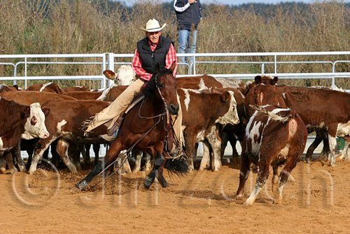 QH062_0995n.jpg