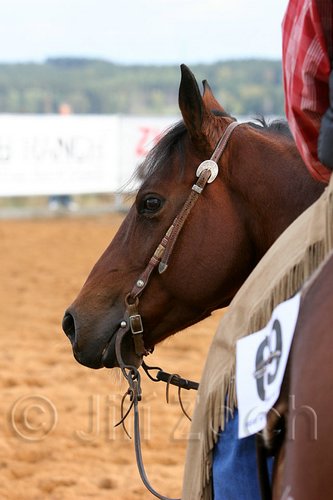 QH062_0999n.jpg