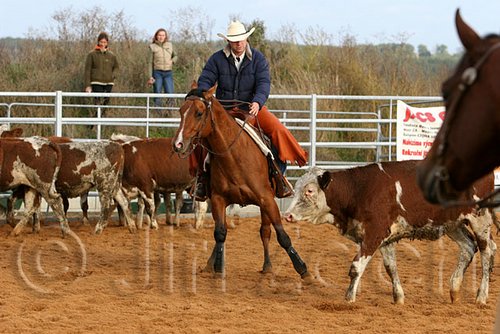 QH062_1006n.jpg