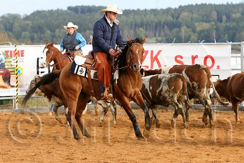 QH062_1010n.jpg