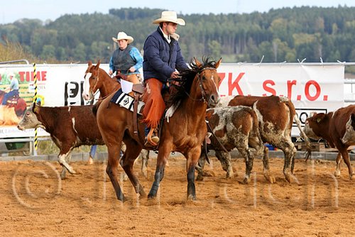 QH062_1011n.jpg