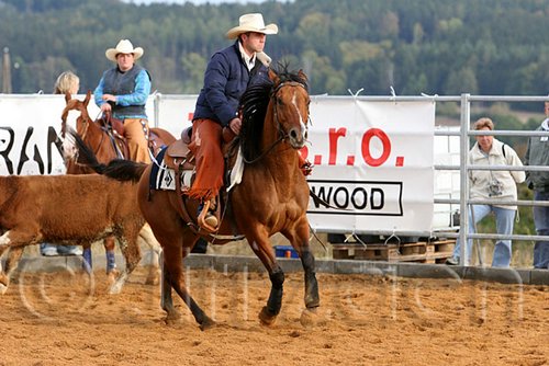 QH062_1014n.jpg
