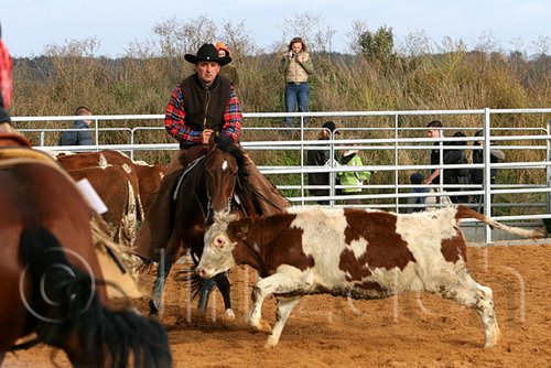 QH062_1020n.jpg