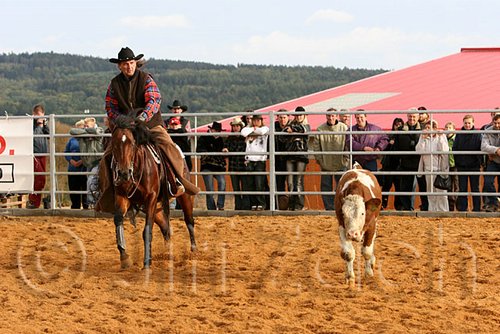 QH062_1037n.jpg