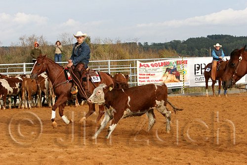 QH062_1054n.jpg