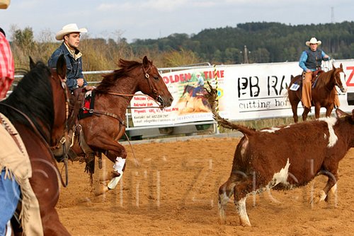 QH062_1060n.jpg