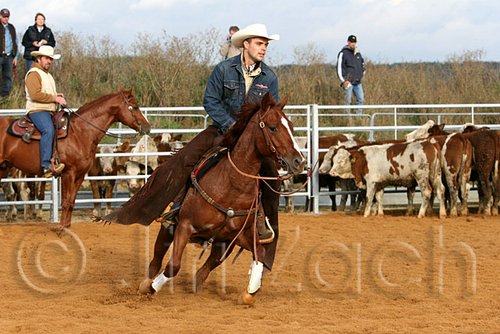 QH062_1061n.jpg