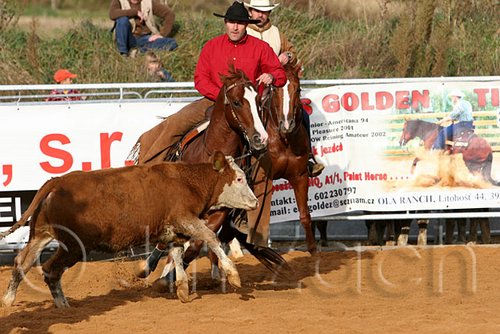 QH062_1065n.jpg