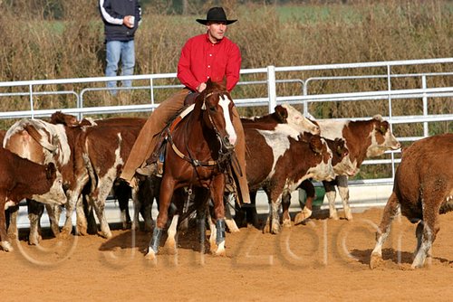 QH062_1067n.jpg