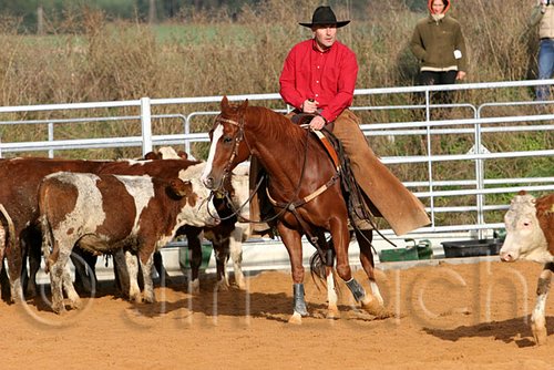 QH062_1068n.jpg