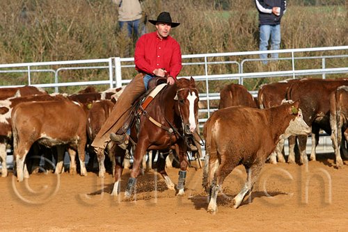 QH062_1070n.jpg