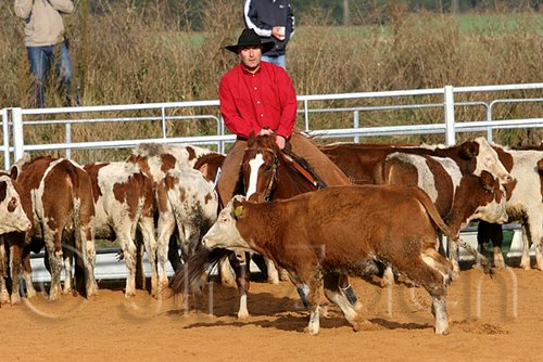QH062_1074n.jpg