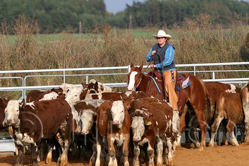 QH062_1082n.jpg