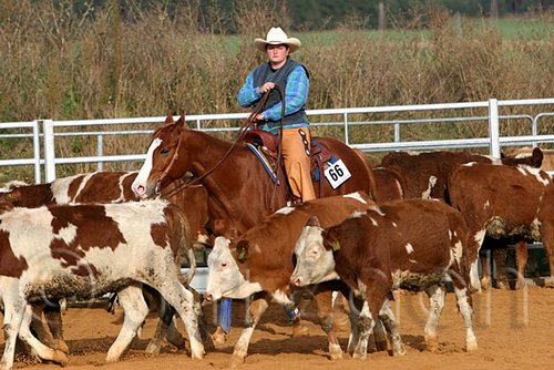 QH062_1083n.jpg