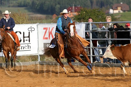 QH062_1084n.jpg