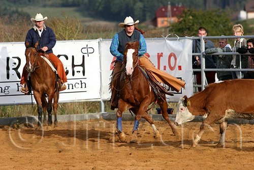 QH062_1085n.jpg