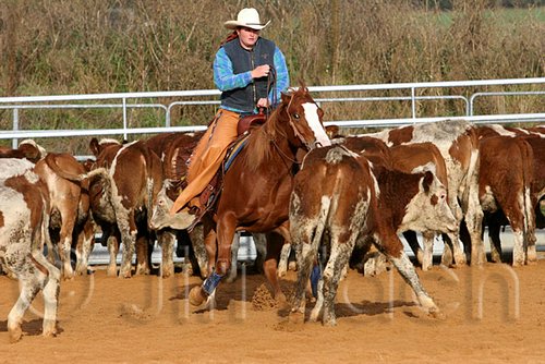 QH062_1090n.jpg