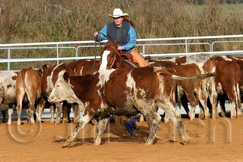 QH062_1092n.jpg