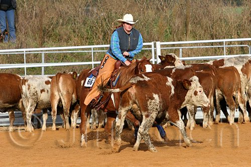QH062_1094n.jpg