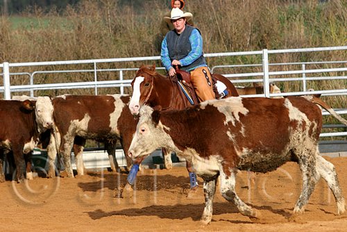 QH062_1096n.jpg